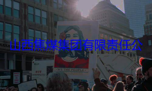 公司原副总经理杨新华接受审查调团有限责任山西焦煤集查